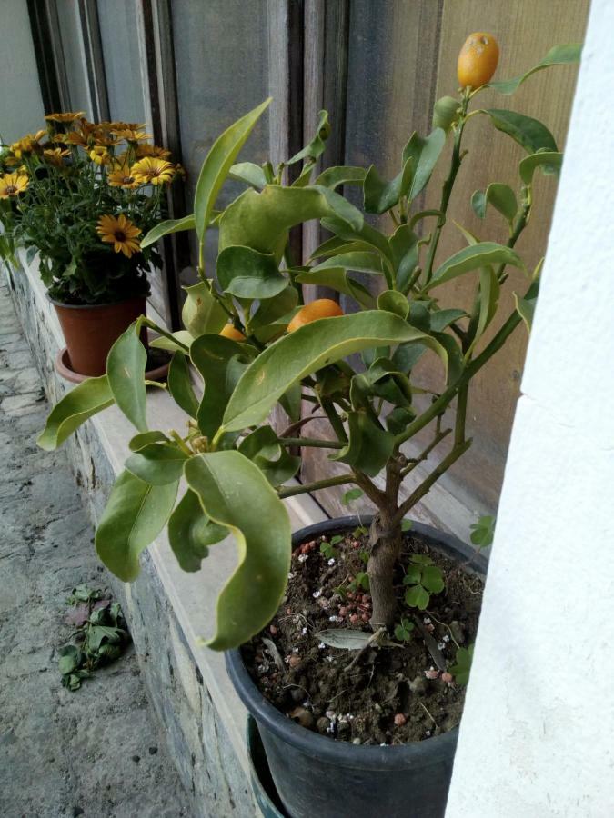 Casa Vacanze Terme Terme Vigliatore Exteriör bild