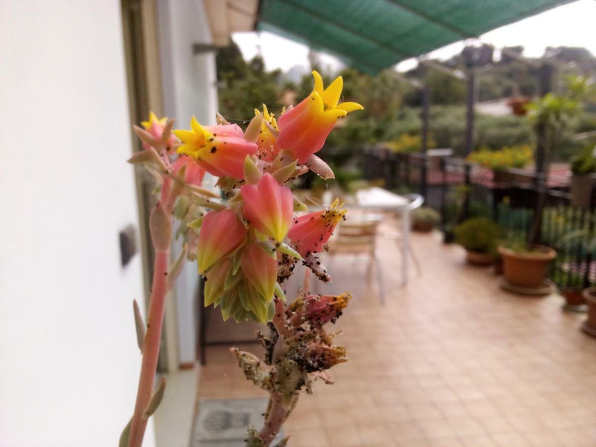 Casa Vacanze Terme Terme Vigliatore Exteriör bild
